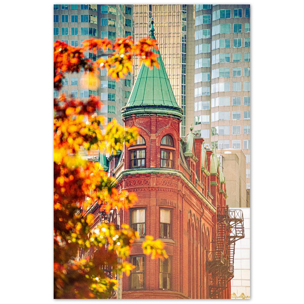 GOODERHAM BUILDING ROOFTOP Aluminum Print Poster Wall Art