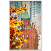 GOODERHAM BUILDING ROOFTOP Wooden Framed Poster Wall Art