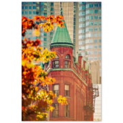 GOODERHAM BUILDING ROOFTOP Wood Print Poster Wall Art